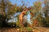 47/6  IMG_4852 kim Josquin.jpg